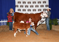 HeiferBackdrops-16