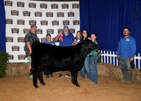 HeiferBackdrops-7