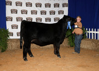 HeiferBackdrops-14