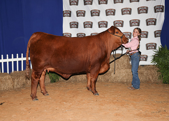 HeiferBackdrops-5