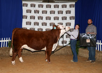 HeiferBackdrops-3-2