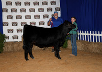 HeiferBackdrops-8