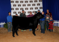 HeiferBackdrops-9