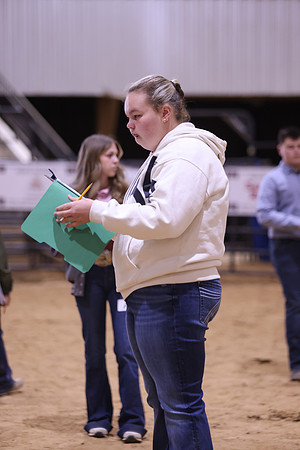 LIVESTOCKJUDGING-4