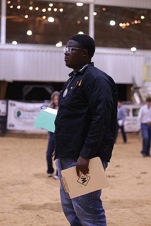 LIVESTOCKJUDGING-7