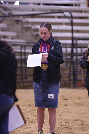 LIVESTOCKJUDGING-6