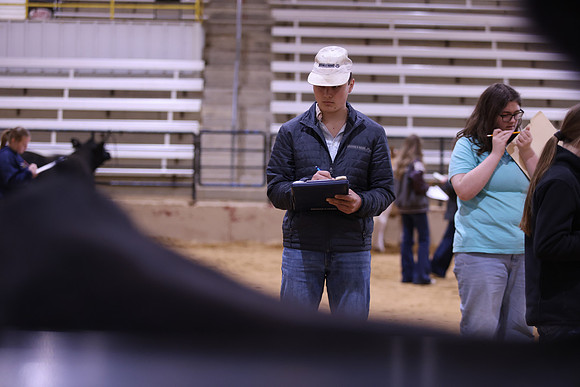 LIVESTOCKJUDGING-29