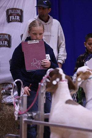 LIVESTOCKJUDGING-33