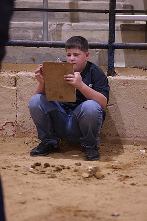 LIVESTOCKJUDGING-16
