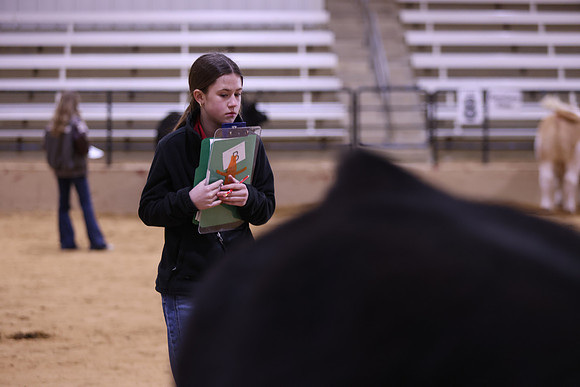LIVESTOCKJUDGING-30