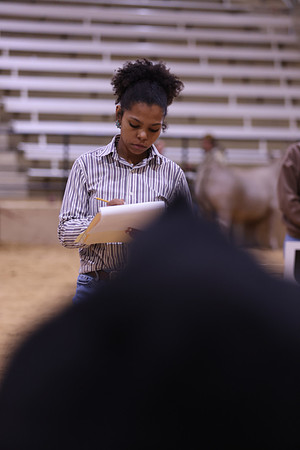 LIVESTOCKJUDGING-21
