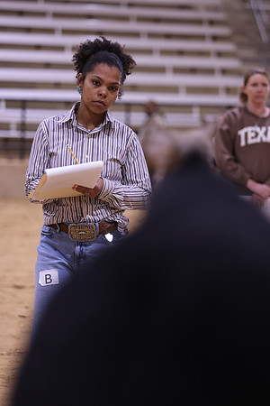 LIVESTOCKJUDGING-20