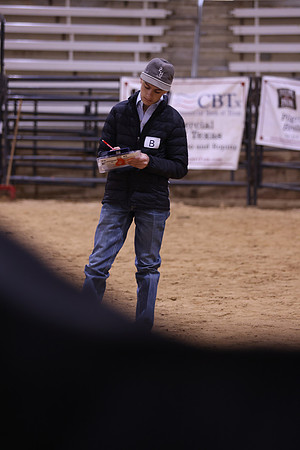 LIVESTOCKJUDGING-22