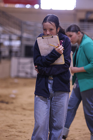 LIVESTOCKJUDGING-36