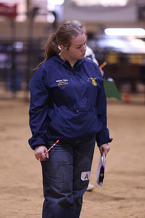 LIVESTOCKJUDGING-8