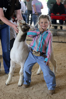 2026 ACF - Peewee Show