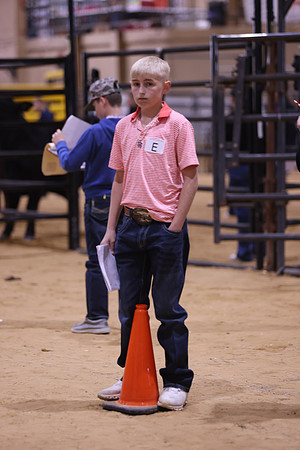 LIVESTOCKJUDGING-46