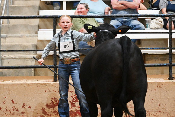CA26-5394