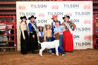 TLL_2971