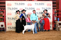TLL_3024