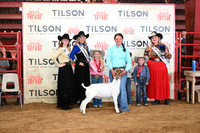 TLL_3025