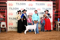TLL_3026