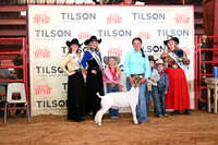 TLL_3028