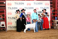 TLL_3029