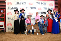 TLL_3032