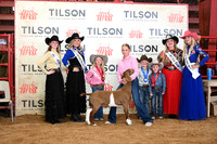TLL_3033