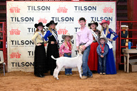 TLL_3100
