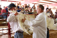 2026 WCFA - Turkey Show-15