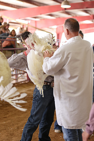 2026 WCFA - Turkey Show-16