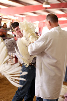 2026 WCFA - Turkey Show-17