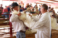 2026 WCFA - Turkey Show-14