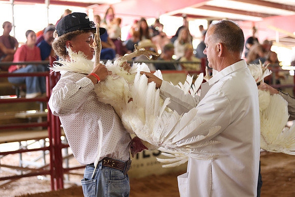 2026 WCFA - Turkey Show-14