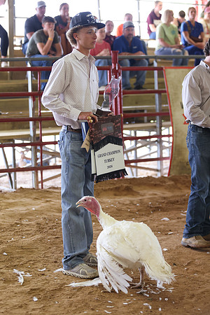 2026 WCFA - Turkey Show-6