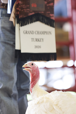 2026 WCFA - Turkey Show-5