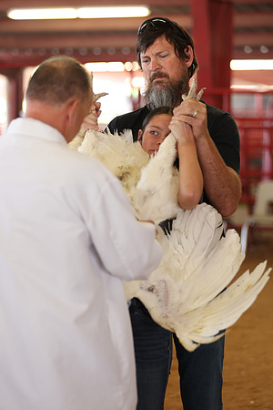2026 WCFA - Turkey Show-22