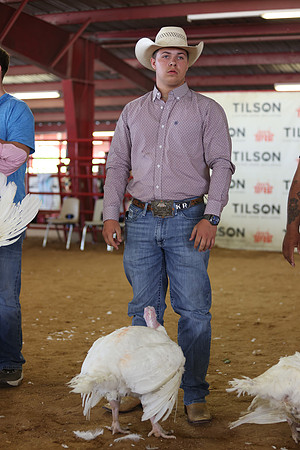 2026 WCFA - Turkey Show-23