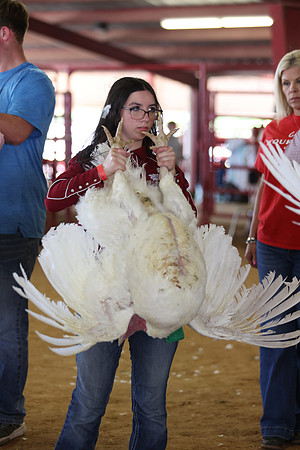 2026 WCFA - Turkey Show-24