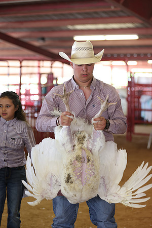 2026 WCFA - Turkey Show-19