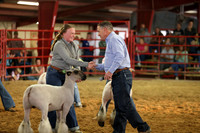 Lamb Show-13