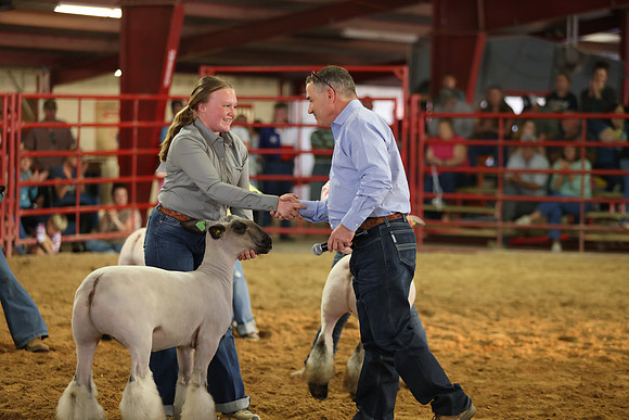 Lamb Show-13