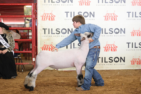 Lamb Show-132
