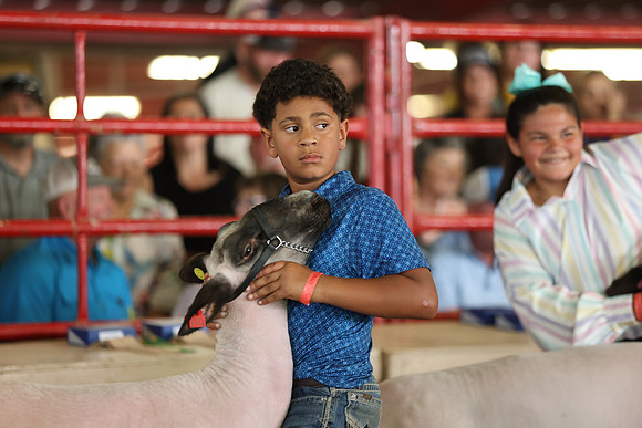 Lamb Show-126