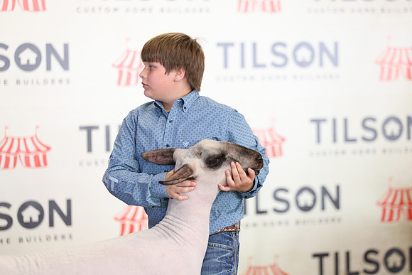 Lamb Show-131