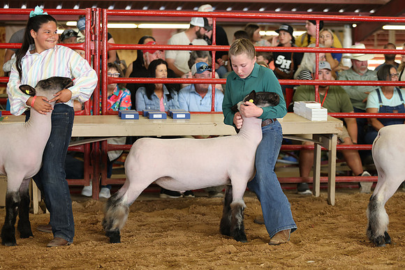 Lamb Show-119