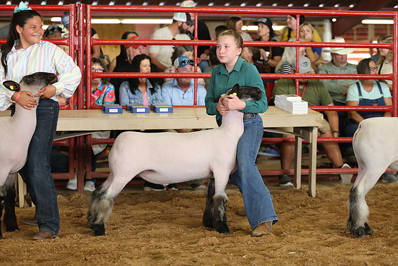 Lamb Show-118