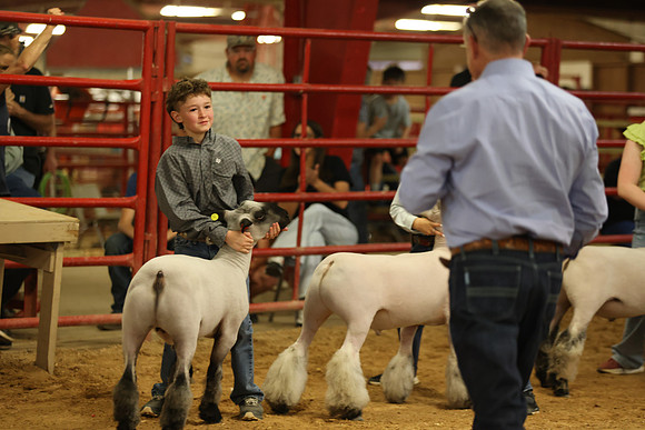 LambShowmanship-9